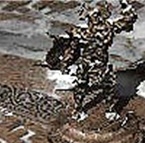 Ancianos