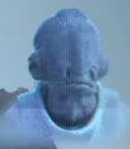 Almirante Ackbar