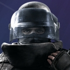Rook
