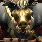 Cazador Colmihueso