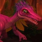 Jani