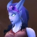 Guarda / Comerciante Draenei