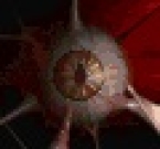 Anunciante Zerg