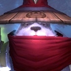Protector Yi