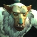 Hozen Bronco